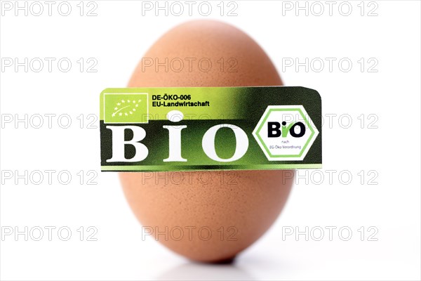 Hen's egg with organic seal