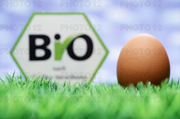 Hen's egg and organic seal
