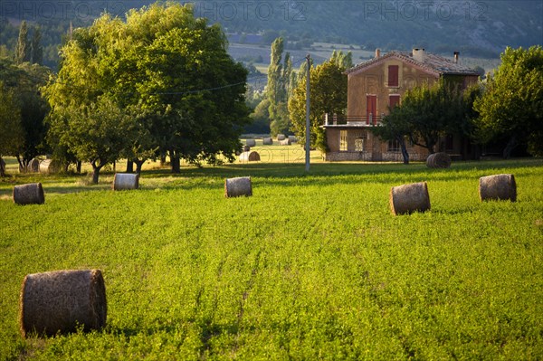 Bales of straw in a field near Sault