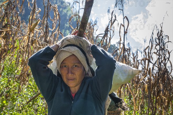 Hill tribe woman carrying a load on her head