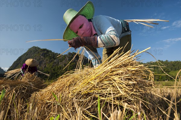 Women wearing masks from the Shan or Thai Yai ethnic minority making straw bundles