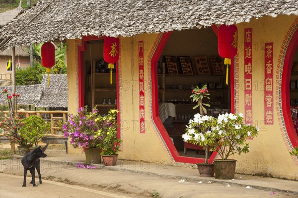 Dog standing outside a tea shop in a village of the Chinese minority on the border with Myanmar