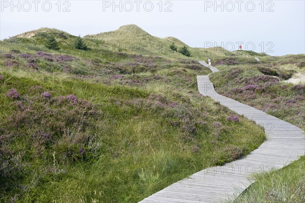 Path through the dunes and lighthouse at Norddorf