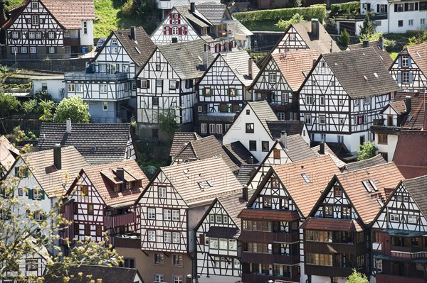 Half-timbered houses