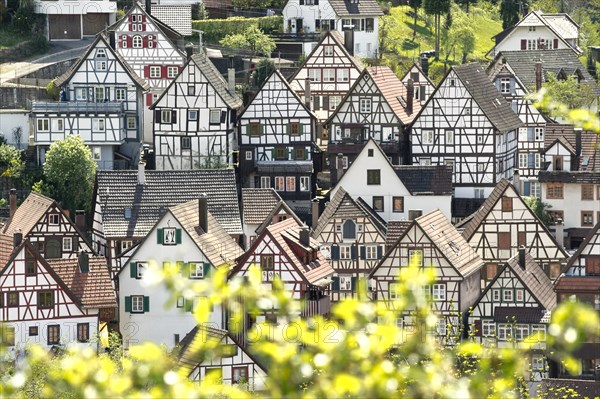 Half-timbered houses