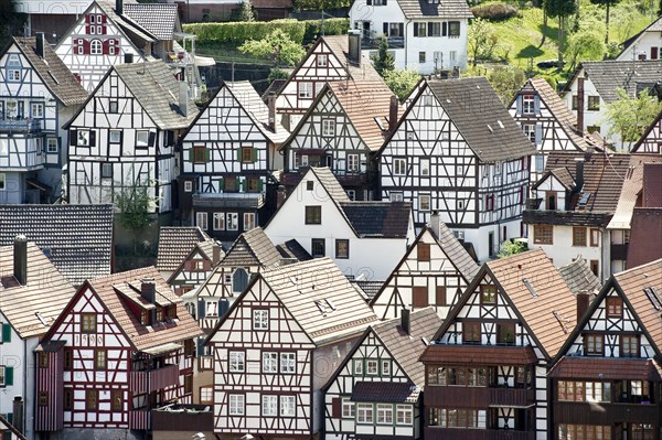 Half-timbered houses