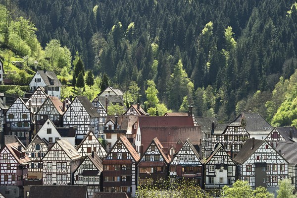 Half-timbered houses