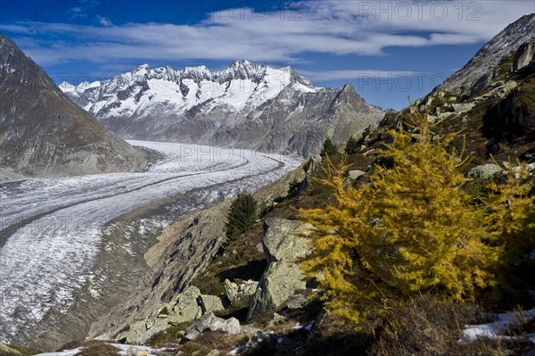 Aletsch Glacier and the Bernese Oberland