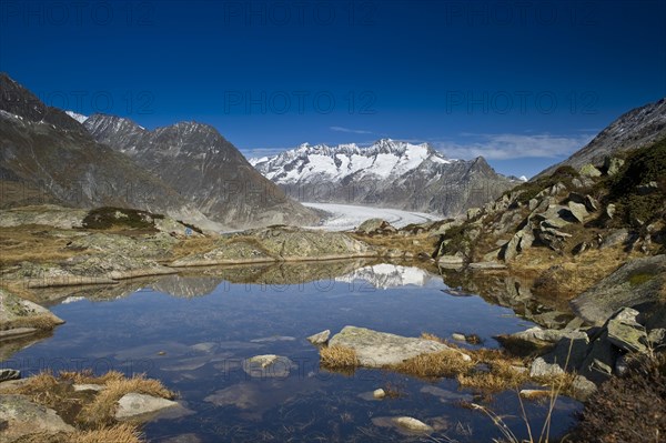 Aletsch Glacier and the Bernese Oberland