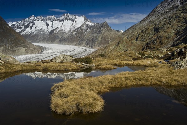 Aletsch Glacier and the Bernese Oberland