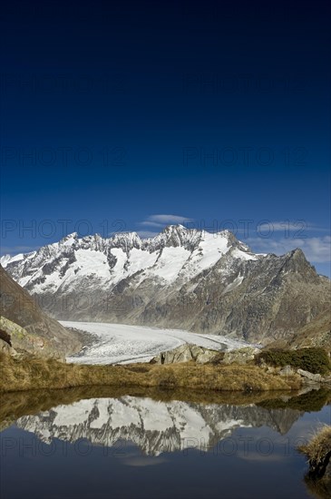 Aletsch Glacier and the Bernese Oberland