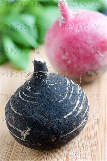 Black radish