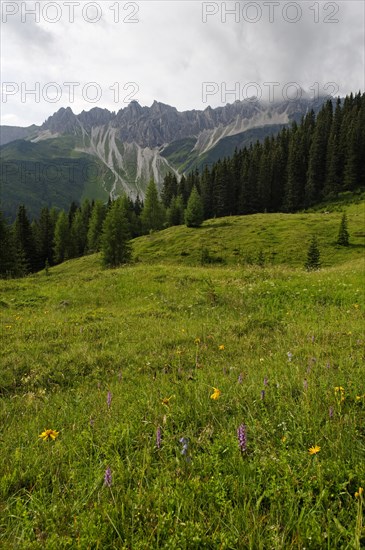 Pflerschtal valley