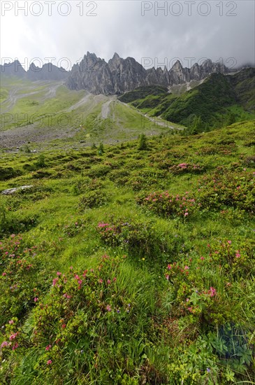 Pflerschtal valley