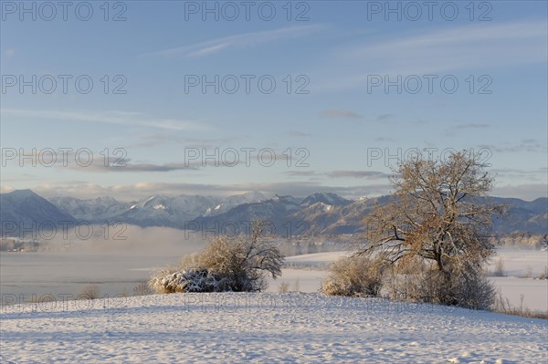 Winter landscape