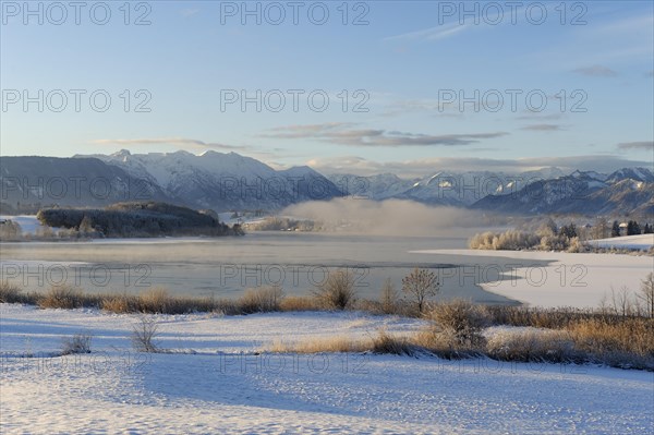 Winter landscape