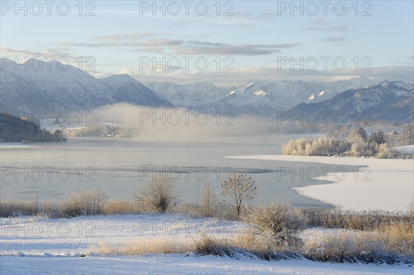 Winter landscape