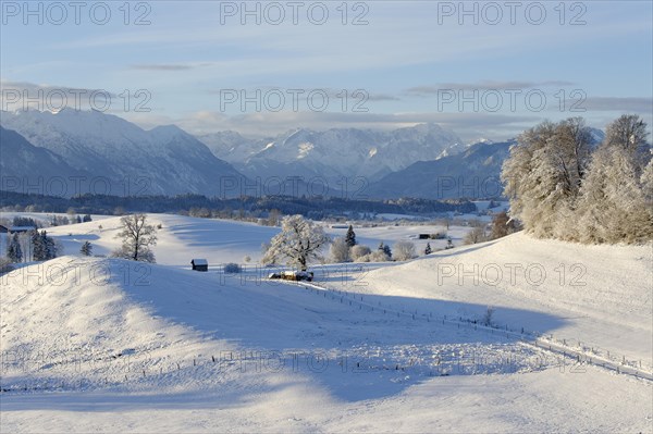 Winter landscape