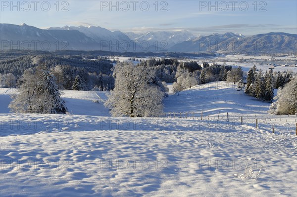 Winter landscape