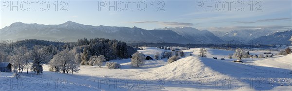 Winter landscape