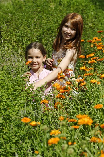 Girls in a meadow of marigolds