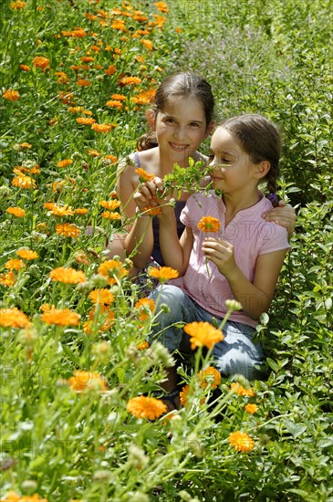 Girls in a meadow of marigolds