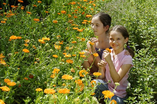 Girls in a meadow of marigolds