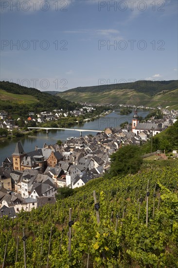 Townscape of Zell and the Moselle Valley