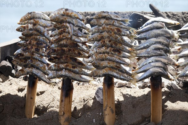 Stockfish being grilled over an open fire