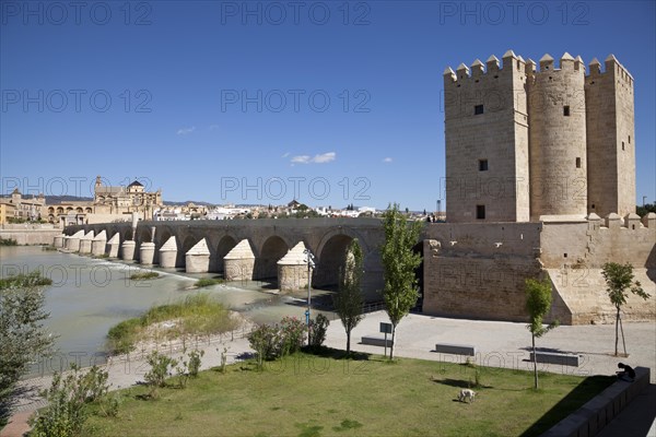 View of the Torre de la Calahorra tower