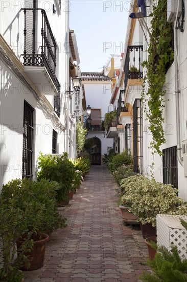 Alley in the historic town centre