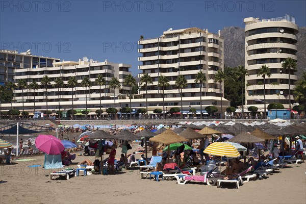 Hotels and apartment houses behind the beach