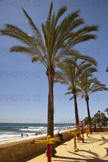 Beach promenade