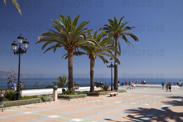 Palm trees along the promenade to the observation deck of Balcon de Europa