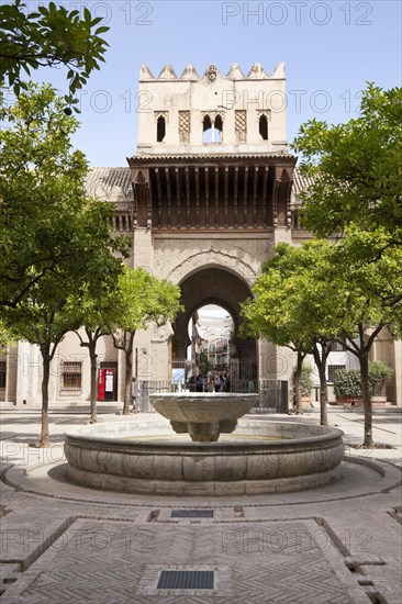 Orange tree courtyard of the Cathedral of Santa Maria de la Sede