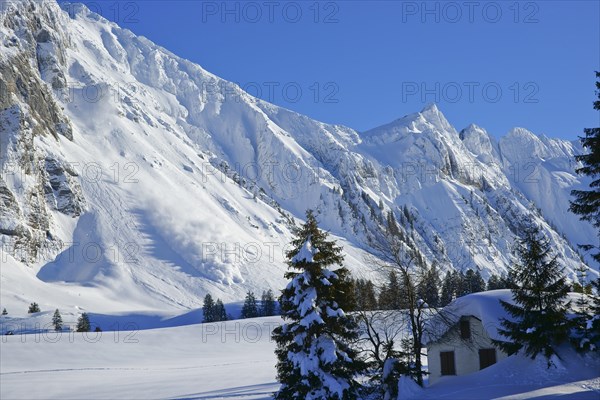Avalanche going down at the Saentis massif in the Appenzell Alps