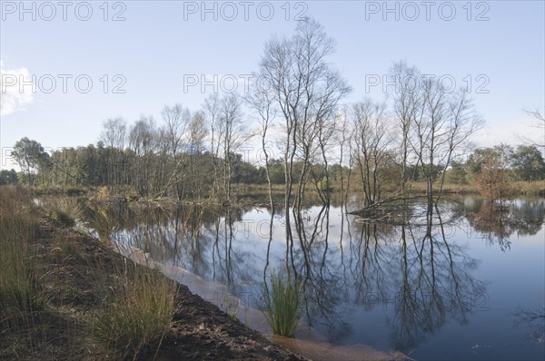 Rehydration of former wetlands