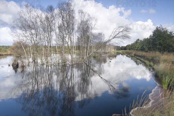 Rehydration of former wetlands