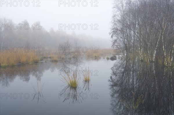 Rehydration of former wetlands