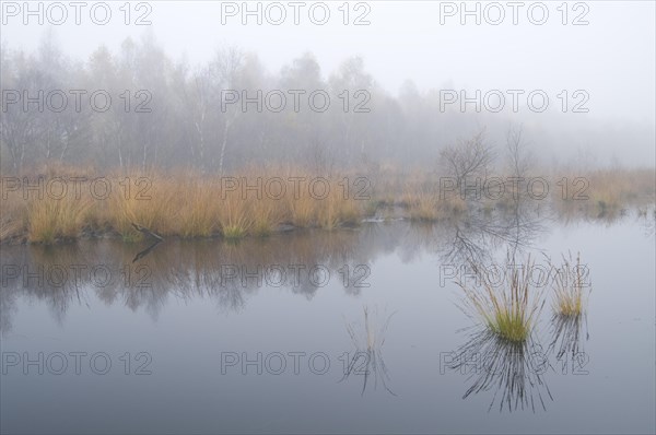 Rehydration of former wetlands