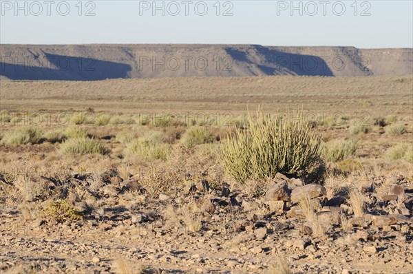 Evening at the Fish River Canyon