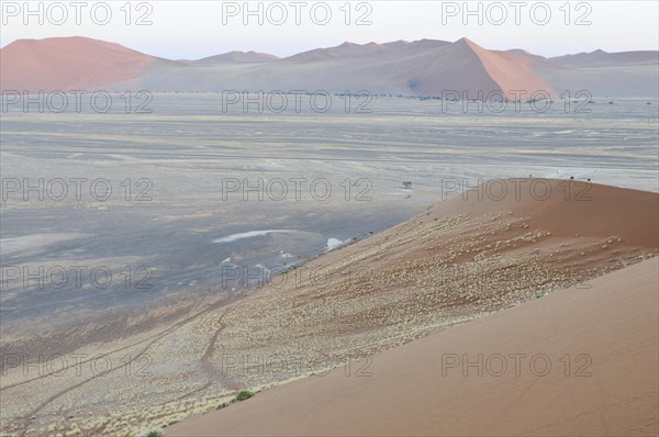 View from Dune 45 on a desert landscape with dunes at dawn