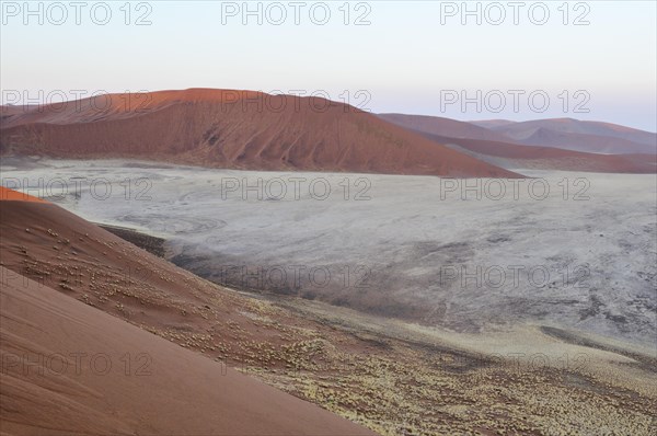 View from Dune 45 on a desert landscape with dunes at dawn