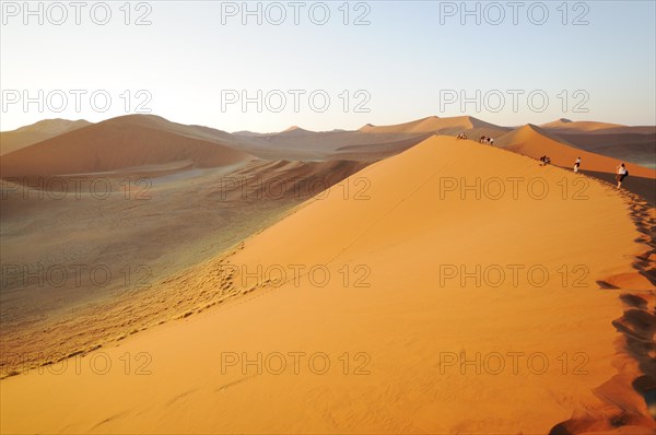 Early morning view from Dune 45 on a desert landscape with dunes