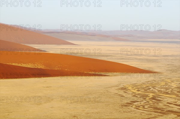 Early morning view from Dune 45 on a desert landscape with dunes