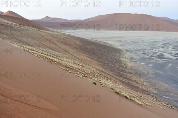 View from Dune 45 on a desert landscape with dunes at dawn