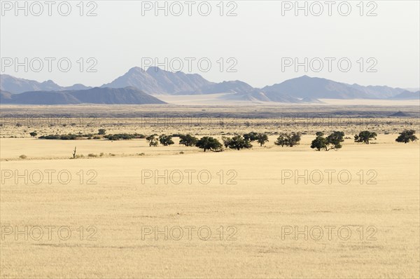 View from Elim Dune