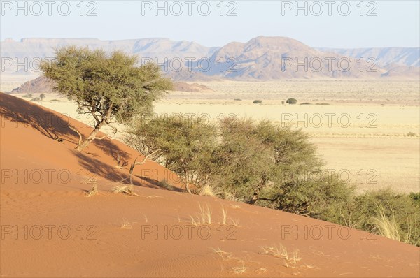 View from Elim Dune towards the Naukluft Mountains