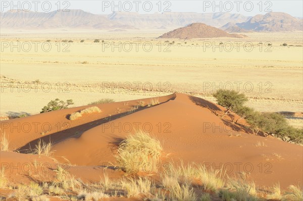 View from Elim Dune towards the Naukluft Mountains