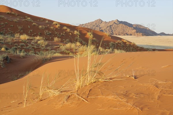 View from Elim Dune towards the Naukluft Mountains